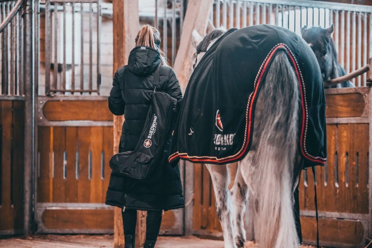 Suedwind Stiefeltasche Boot Bag Tall – Bild 4