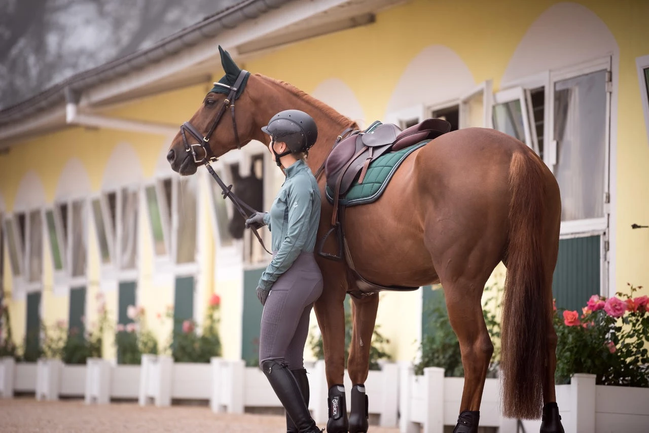 ELT Reitleggings Dana – Bild 9