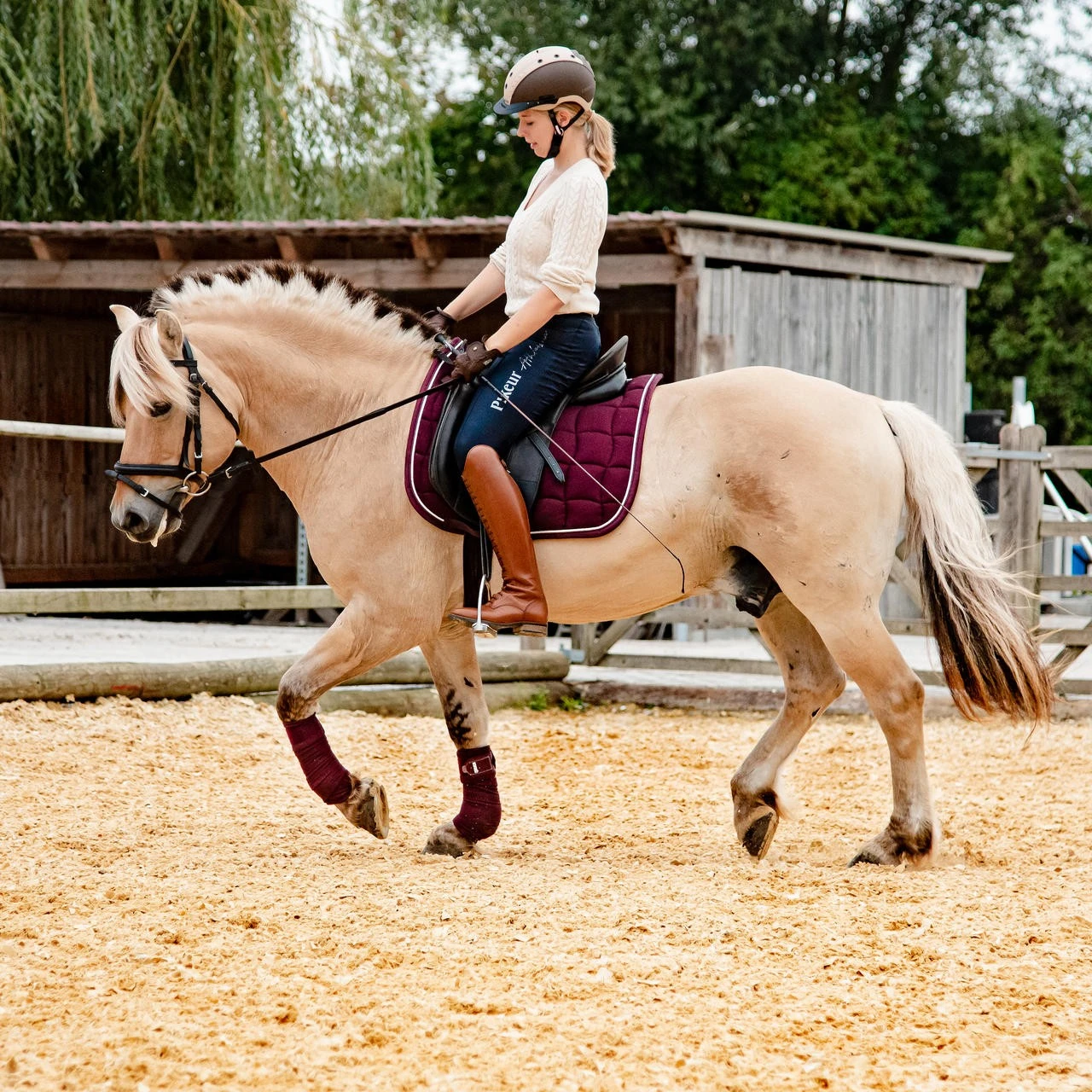 Pikeur Reithose Gia Grip Athleisure - Image 12