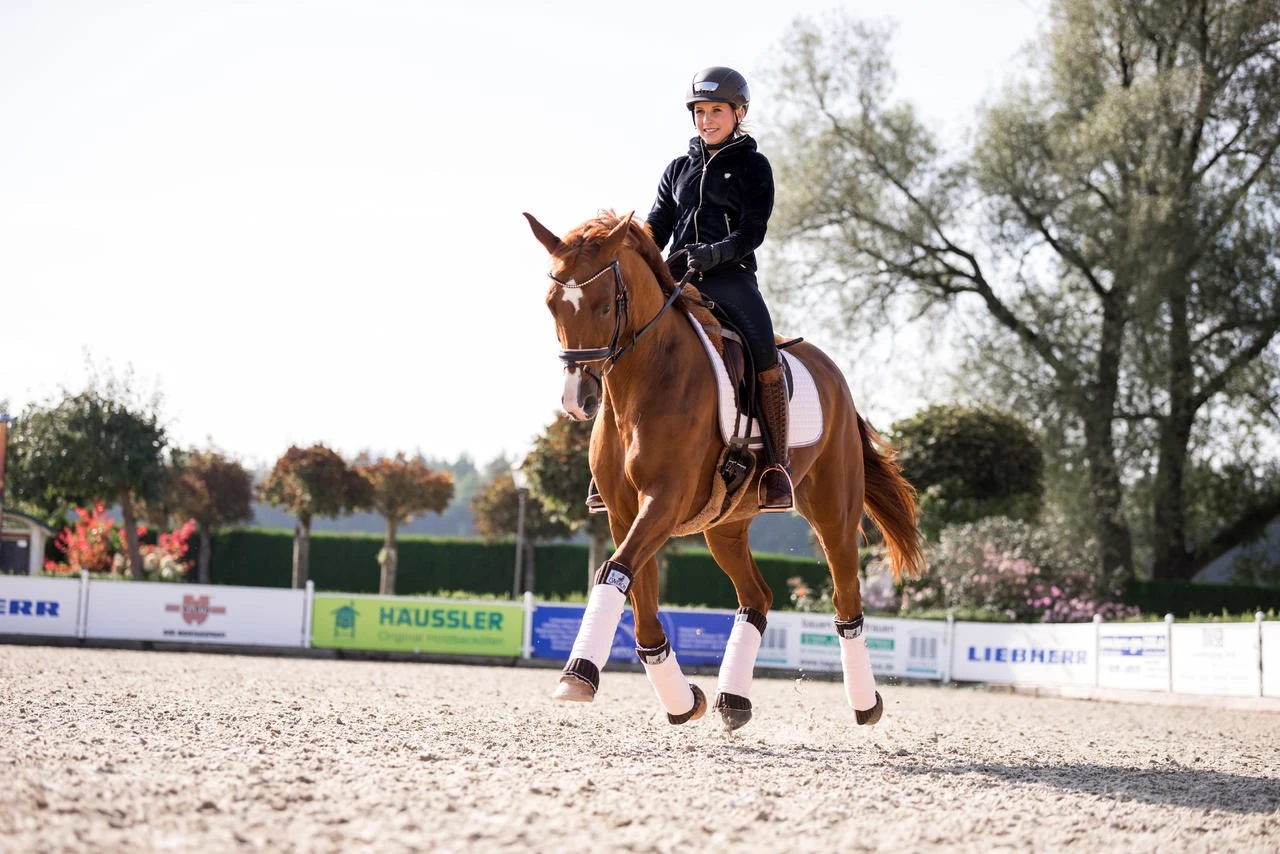 Uvex Reithandschuh Sportstyle Winter - Image 5