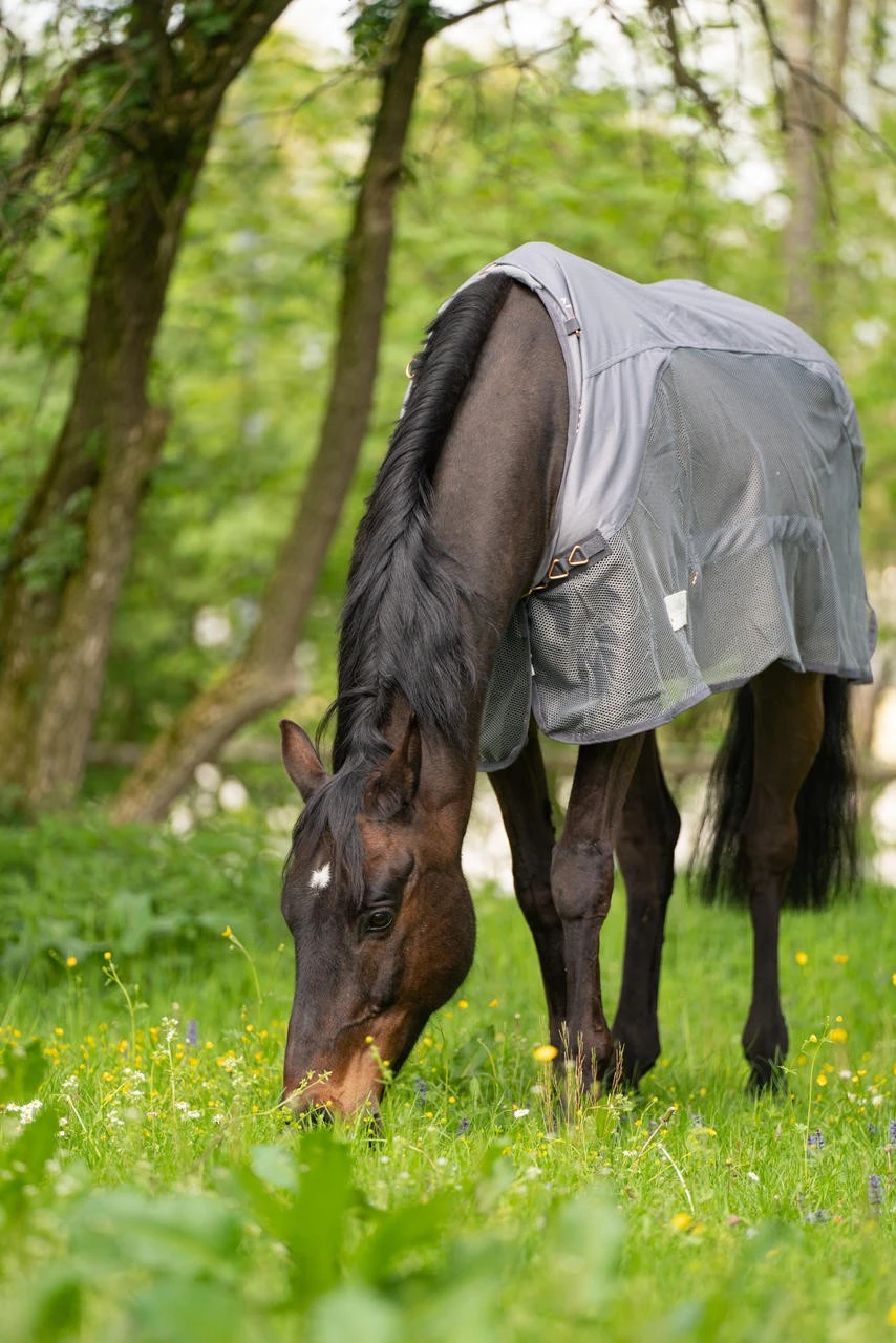 Waldhausen Comfort Regen-Fliegendecke – Bild 4