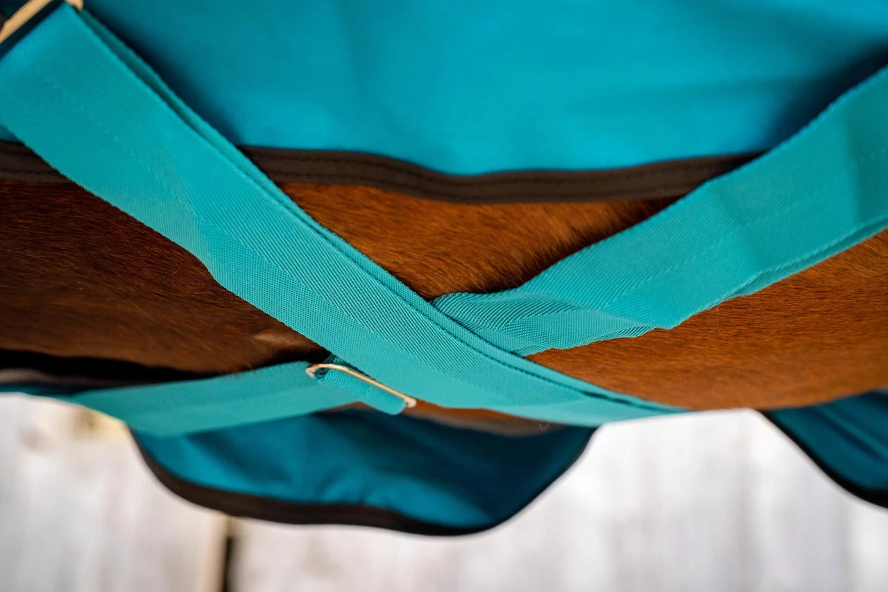 Horseware Mio Turnout Lite - Weidedecke – Bild 3