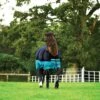 Horseware Mio Turnout Medium 200 G