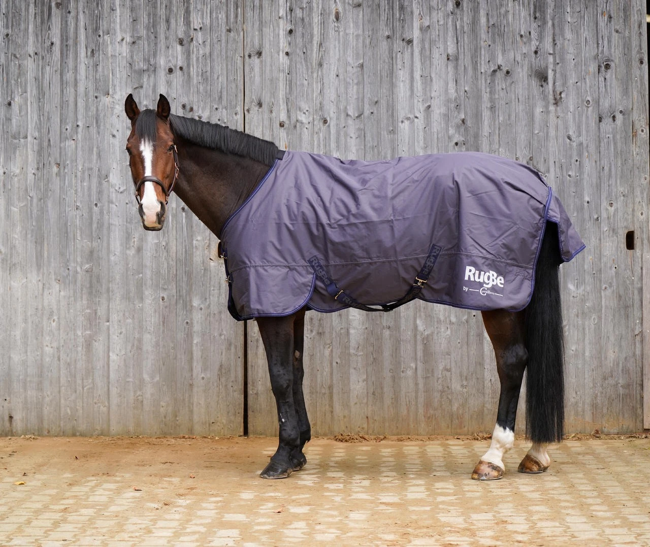 Covalliero Outdoor-Pferdedecke RugBe Zero – Bild 5