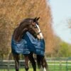 Horseware Liner Unterdecke 100g